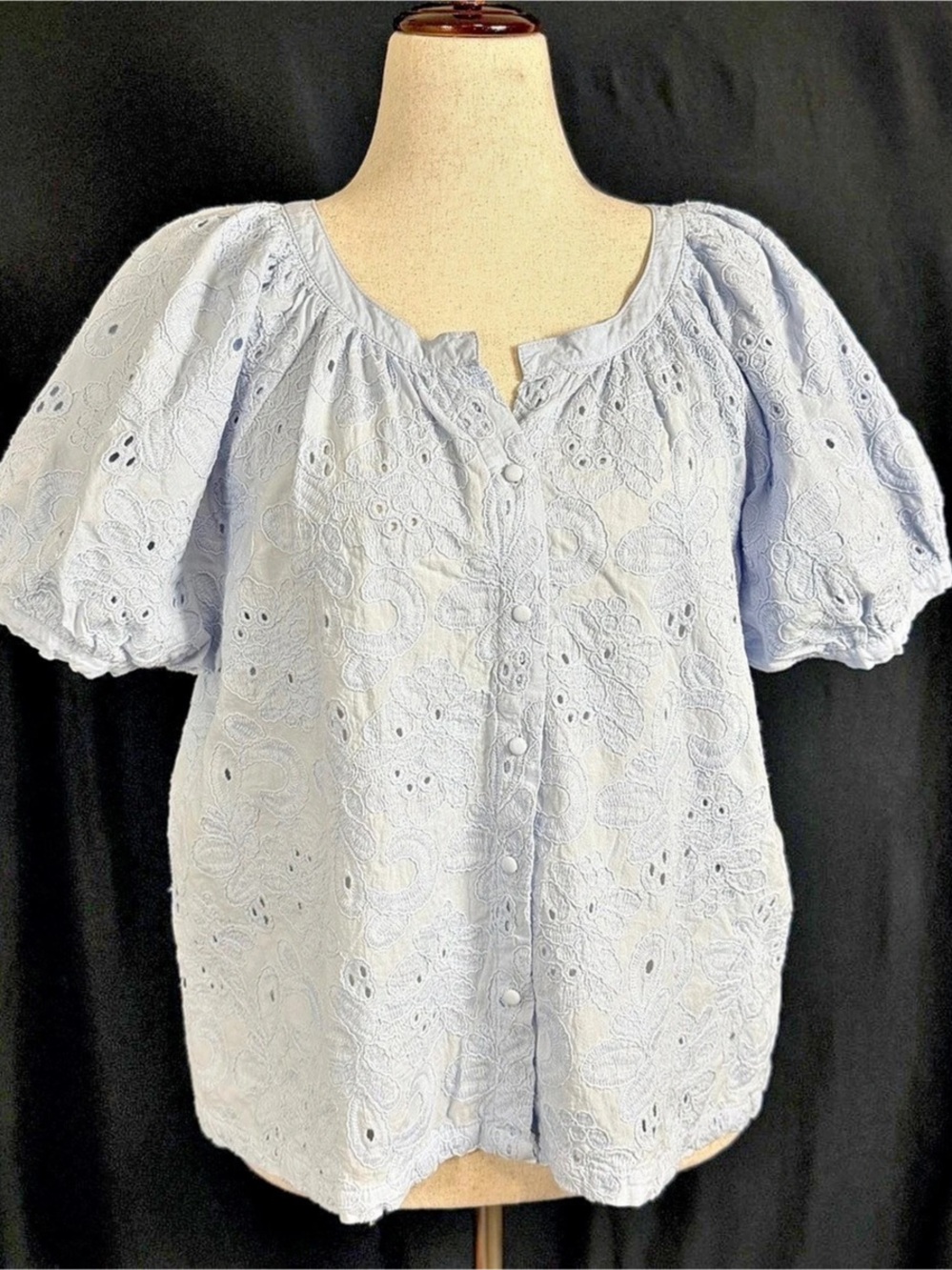 Calypso St. Barth Cotton Eyelet Floral Blouse in Blue XL Like New Puff sleeve